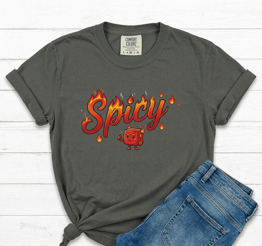 Spicy Candy T-shirt, Spicy Tee, Retro Flame Typography, Sexy Shirt